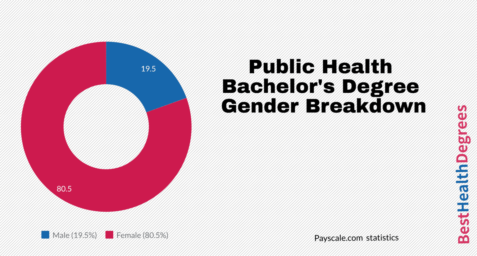 What Can I Do with a Bachelor's in Public Health? The Best Health Degrees